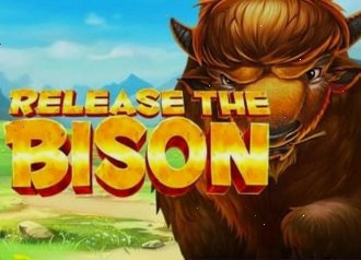 Release the Bison играть